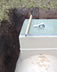 New bio disc system installation